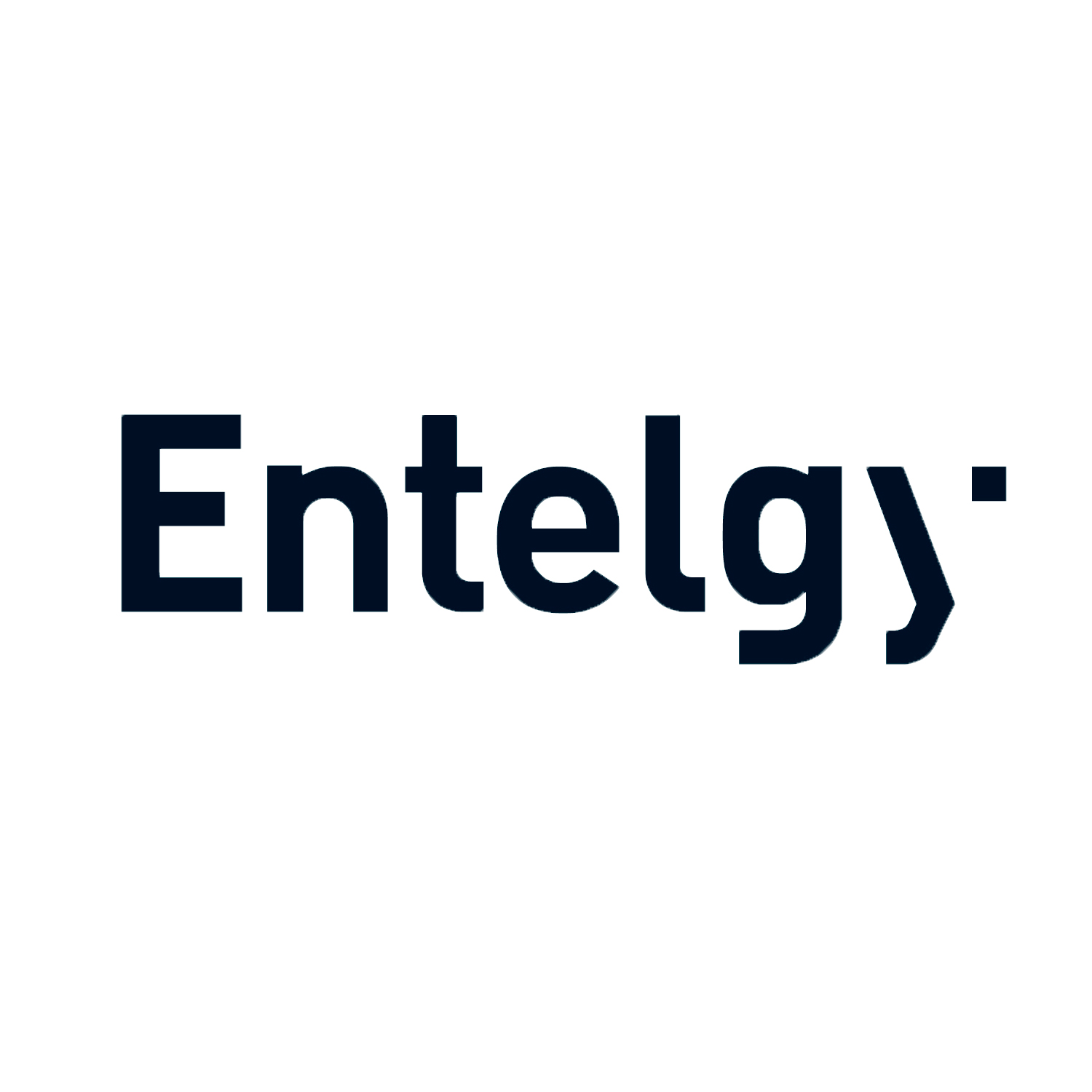 Logo ENTELGY
