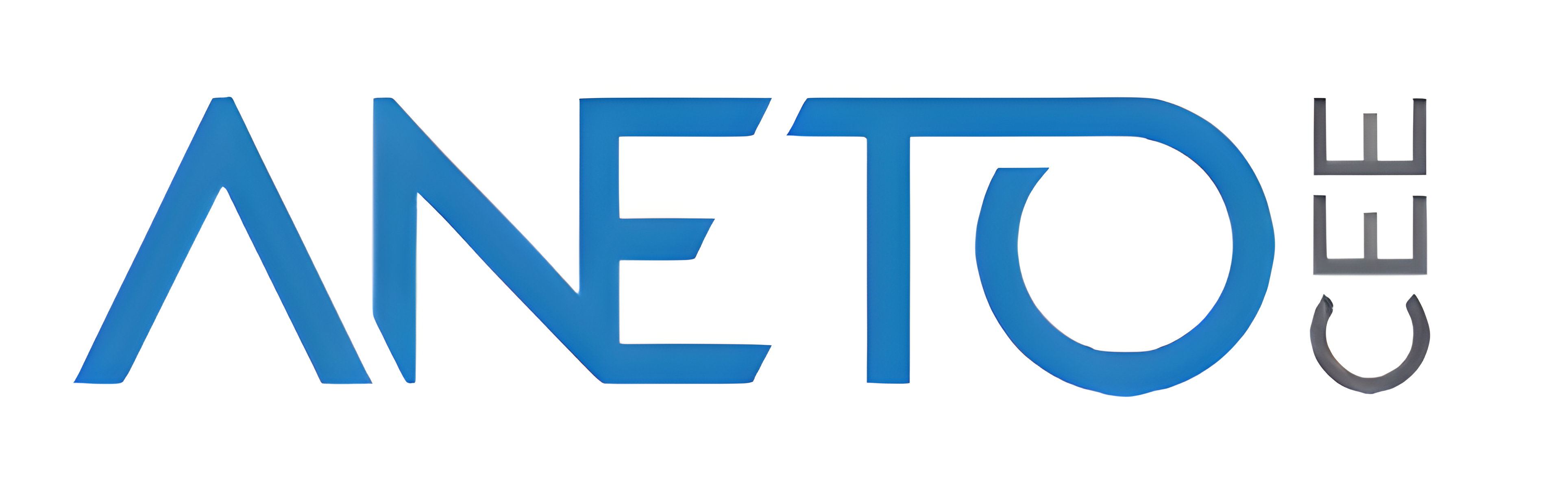 Logo Aneto CEE SL